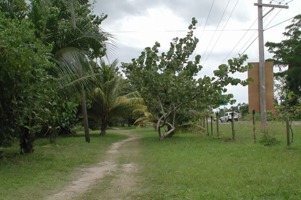 A Photo Walk along Negril's Famous Seven Mile Beach - Negril Travel Guide, Negril Jamaica WI - http://www.negriltravelguide.com - info@negriltravelguide.com...!