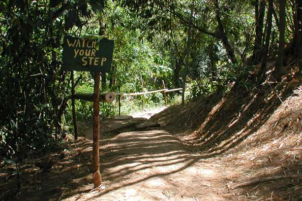 Riverwalk at   Mayfield Falls - Negril, Jamaica W.I. - Saturday, December 8, 2001 - Negril Travel Guide